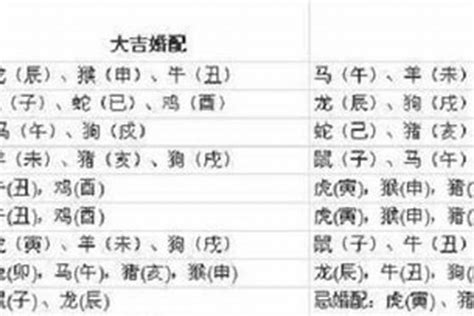 生肖 1997|1997年属什么生肖 1997年的属相是什么命